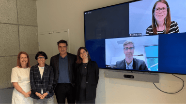 Christine Hamel, Caroline Bouchard, Bernard Wentzel, Anne-Sophie Parent et à l'écran Mathieu Point et Lise Lemay